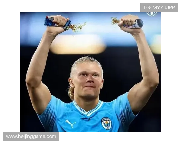 哈兰德足球明星头像解析与背后故事揭秘